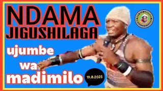 NDAMA JIGUSHILAGA UJUMBE WA MADEMILO By Madulu Studio 2025 