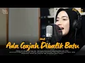 Lagu #062 Request Subscribe - Ada Gajah Dibalik Batu - Wali Band (Reggae Cover) | By Shifa Vibes