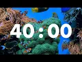 Productive Ocean Expedition 40-Minute Underwater Fish Timer for Goal Attainment