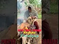 Download Lagu Mayat suami terbakar #ngakak #tertawabiarwaras #wargads #lucu #tertawaseharian #comedy #tertawa