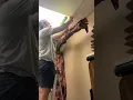 DIY Classroom Tree