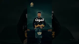 احمد عامر  افرحولنا دندنها