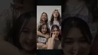 diandes blunder no armor live viral