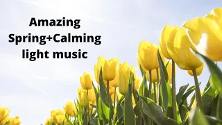 Download Natural background video with calming music/Natural video with no copyright/copyright free/Spring MP3