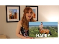 Celebrity Swipes with Bryce Dallas Howard
