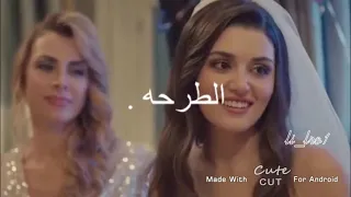 تصميمي هاندا مش خايفة لية من الزفة دندنها