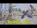 Would you visit or move to Dillon SC Main Street America