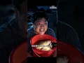 [Multi SUB] ｜他辞职后去赶海，意外获得海神馈赠，下海收获无数珍稀海产，与美女携手打造生态海湾，家庭事业双丰收！#剧能充电站 #MiniDrama#精彩大陆短剧