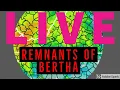 LIVE - 1-Hour Radar Loop with Warnings of Bertha Remnants