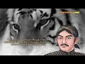 Download Lagu Story WhatsApp || Sunan Kalijaga kidong wahyu versi Macan Putih #storywa #macanputih #storykejawen