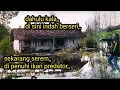 Download Lagu Jangan kan umpan,,, pelampung aja di makan sama ikan 