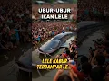 Download Lagu Ubur ubur ikan lele, ayo kita tangkap le.... 🤣 #shorts #uburuburikanlele #leleraksasa #lele
