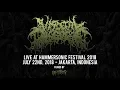 Download Lagu VISCERAL DISGORGE \