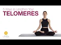 Download Lagu 5 manieren om je telomeren te verlengen | John Douillard's LifeSpa