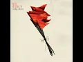 red flag collector - Kelly Clarkson