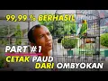 Download Lagu Cara Cetak Lovebird Paud Dari Ombyokan Biar Cepet Gacor di Gantangan | Part #1
