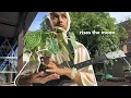 Download Lagu Singing for my plants