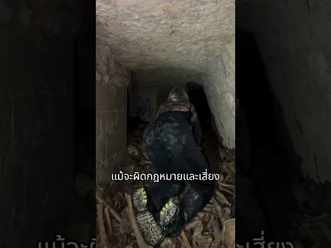 สุสานใต้ปารีส