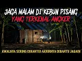 Download Lagu JAGA MALAM DI KEBUN PISANG YANG TERKENAL ANGKER - cerita mistis - cerita horor