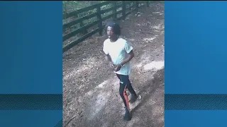 Coweta County deputies continue to search for armed and dangerous suspect