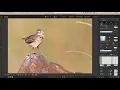 Processing RAW Files in Canon Digital Photo Professional 4