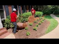 Longleaf Pine Straw Rolls - How to Install