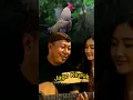 Download Lagu Jago Kluruk Versi Dangdut Campursari