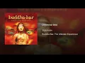Universe One - Stan Kolev