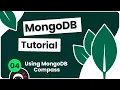 Complete MongoDB Tutorial - Using MongoDB Compass