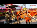 Download Lagu 🐴 LAGU SUNDA TUMPAK DELMAN  NAIK DELMAN UYUS  SUARA KUDA TIKTOK | Kuda Delman Purbalingga