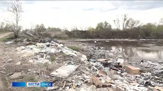 В омском посёлке Николаевка начали ликвидировать несанкционированную свалку