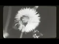 Frou Frou - Let Go (Lyric Video)
