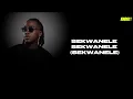 GL Ceejay, JAZZWRLD & Nkosazana Daughter Feat. DA LEE LS - Sekwanele (Lyrics)