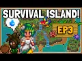 Stardew Valley Island Survival - E03 THE COOKOUT KIT