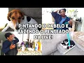 Download Lagu Pintando o cabelo e fazendo o penteado da live 🥰.