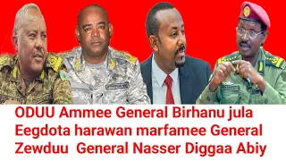 General Birhanu Jula Eegdota Harawan Marfamee General Zewduu Belaay General Nasser Diggaa Abiy 