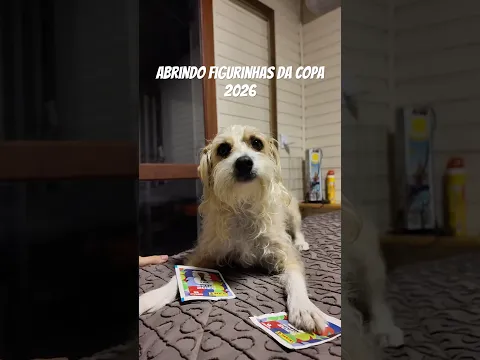 Primeiras figurinhas da copa do mundo 2026 #figurinhas #copadomundo2026 #unboxing #panini