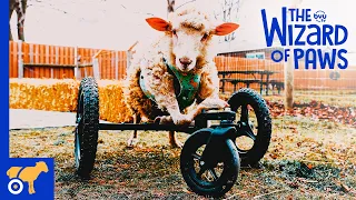 Two Peas In A Pod BYUtv 