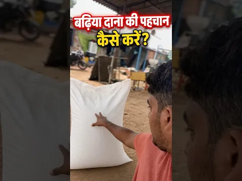 बढ़िया दाना की पहचान कैसे करे #feed #cowfeed#bestcowfeed #bestcowfeedbihar#ejjudairyfarm