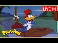 Download Lagu LIVE 🔴 Pica-Pau é o Melhor Vendedor 🪠 Pica-Pau Antigo 🔴 Maratona de Episódios Antigos