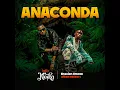 Anaconda