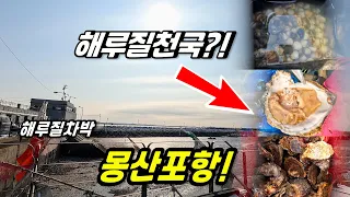 초보도 성공?! 몽산포항에서 해산물 대량 획득! 썸네일