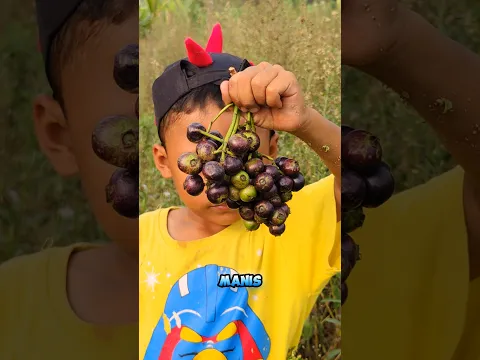 Mirip anggur tapi bukan anggur?🍇