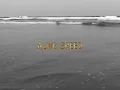 Download Lagu SPEED / ALIVE -Music Video-