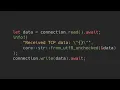 TCP echo server in my custom OS