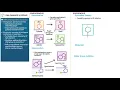 DNA Damage Repair