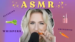 Download ✨🧚🏻‍♀️chaotic ASMR with nova miller (whispers, crunching, plucking)✨🧚🏻‍♀️ MP3