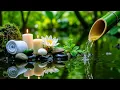 Download Lagu Relaxing Sleep Music with Bamboo Water Sound🌿Beautiful Calming Music for Stress,Worry \u0026 Overthinking