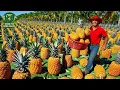 Download Lagu 🍍 Trang Trại Dứa Ở Indonesia – Cách Họ Trồng Và Biến Dứa Thành Đồ Uống Ngon Tuyệt!