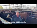 2021 Moss Vale Cattle Sale
